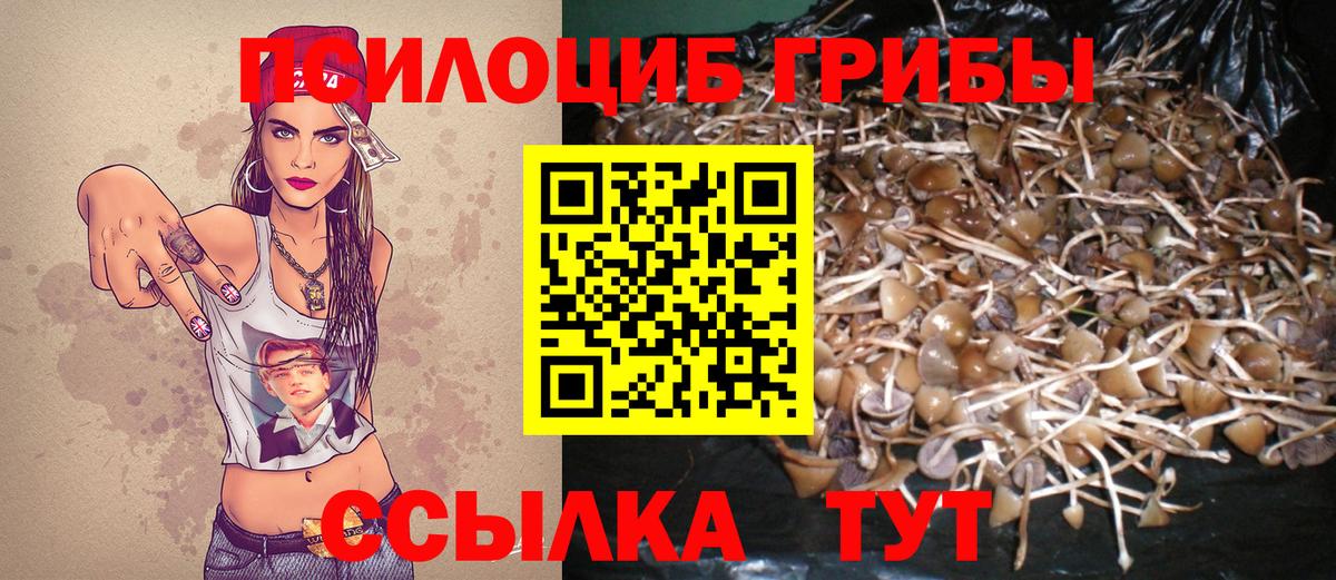 хочу   Вход с VPN  Калининград  Галлюциногенные грибы Magic Shrooms 